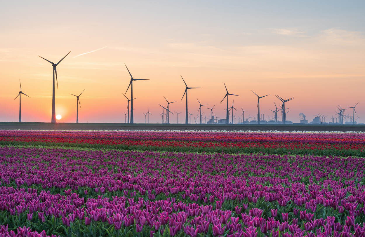 nederland industrie en windmolens