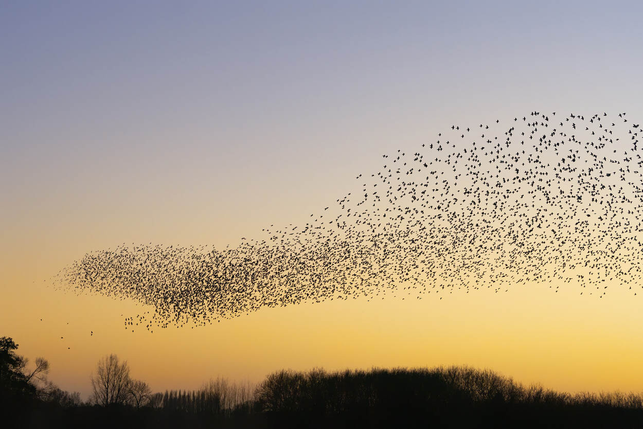 2024 in vogelvlucht