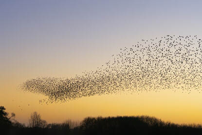 2024 in vogelvlucht